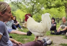 Animal Rights Watch e.V. - ARIWA