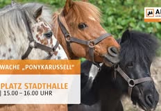 Animal Rights Watch e.V. - ARIWA