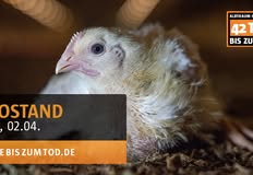 Animal Rights Watch e.V. - ARIWA