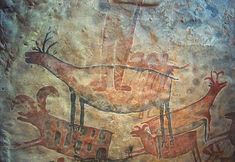 Animal Rights Watch e.V. - ARIWA