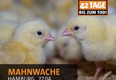 Animal Rights Watch e.V. - ARIWA