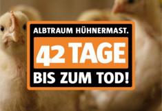 Animal Rights Watch e.V. - ARIWA