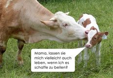 Animal Rights Watch e.V. - ARIWA