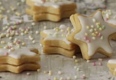 Animal Rights Watch e.V. - ARIWA