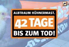 Animal Rights Watch e.V. - ARIWA