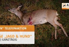 Animal Rights Watch e.V. - ARIWA