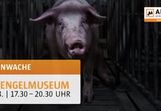 Animal Rights Watch e.V. - ARIWA