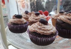 Animal Rights Watch e.V. - ARIWA