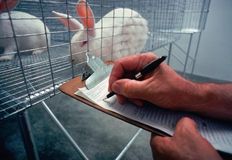 Animal Rights Watch e.V. - ARIWA