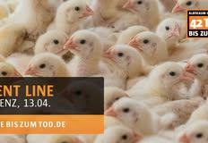 Animal Rights Watch e.V. - ARIWA