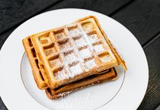 Animal Rights Watch e.V. - ARIWA