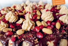 Animal Rights Watch e.V. - ARIWA