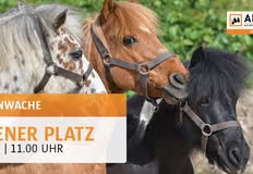 Animal Rights Watch e.V. - ARIWA