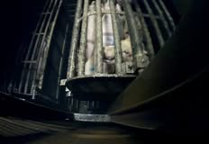 Animal Rights Watch e.V. - ARIWA