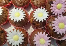 Animal Rights Watch e.V. - ARIWA