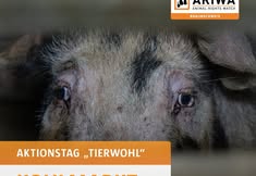 Animal Rights Watch e.V. - ARIWA
