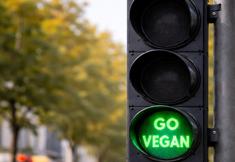 Animal Rights Watch e.V. - ARIWA