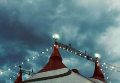 Animal Rights Watch e.V. - ARIWA