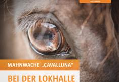 Animal Rights Watch e.V. - ARIWA