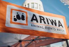 Animal Rights Watch e.V. - ARIWA