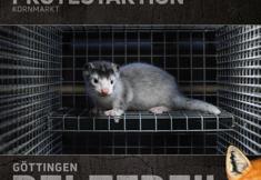 Animal Rights Watch e.V. - ARIWA