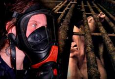 Animal Rights Watch e.V. - ARIWA