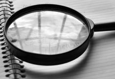 Animal Rights Watch e.V. - ARIWA