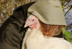 Animal Rights Watch e.V. - ARIWA