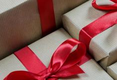 Animal Rights Watch e.V. - ARIWA