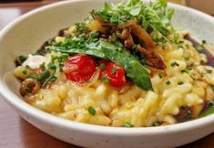 Animal Rights Watch e.V. - ARIWA