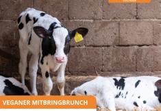 Animal Rights Watch e.V. - ARIWA