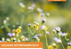 Animal Rights Watch e.V. - ARIWA