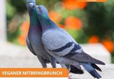 Animal Rights Watch e.V. - ARIWA