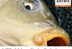 Animal Rights Watch e.V. - ARIWA