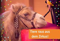 Animal Rights Watch e.V. - ARIWA