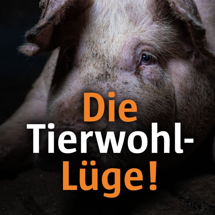 Animal Rights Watch e.V. - ARIWA