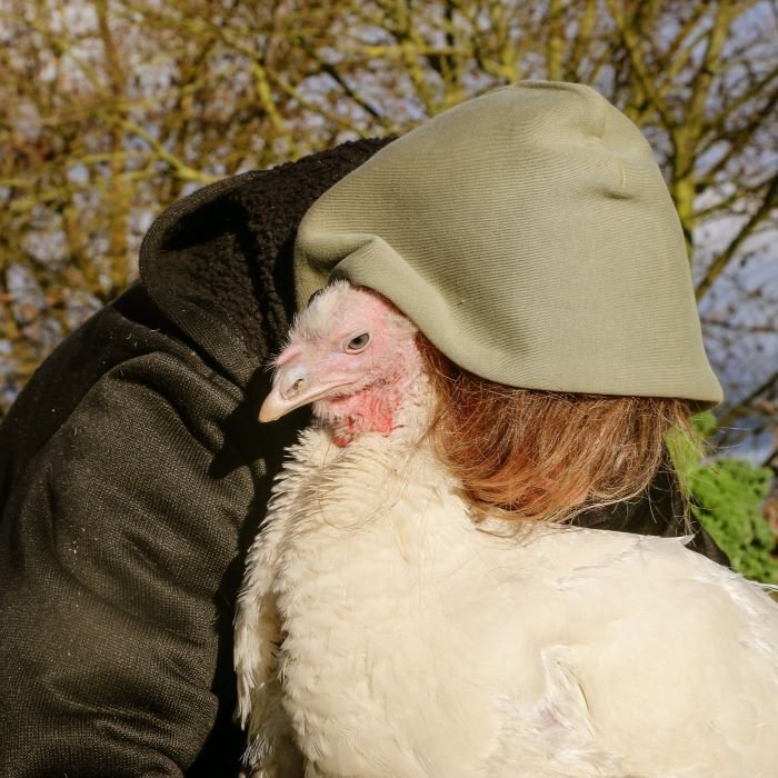 Animal Rights Watch e.V. - ARIWA