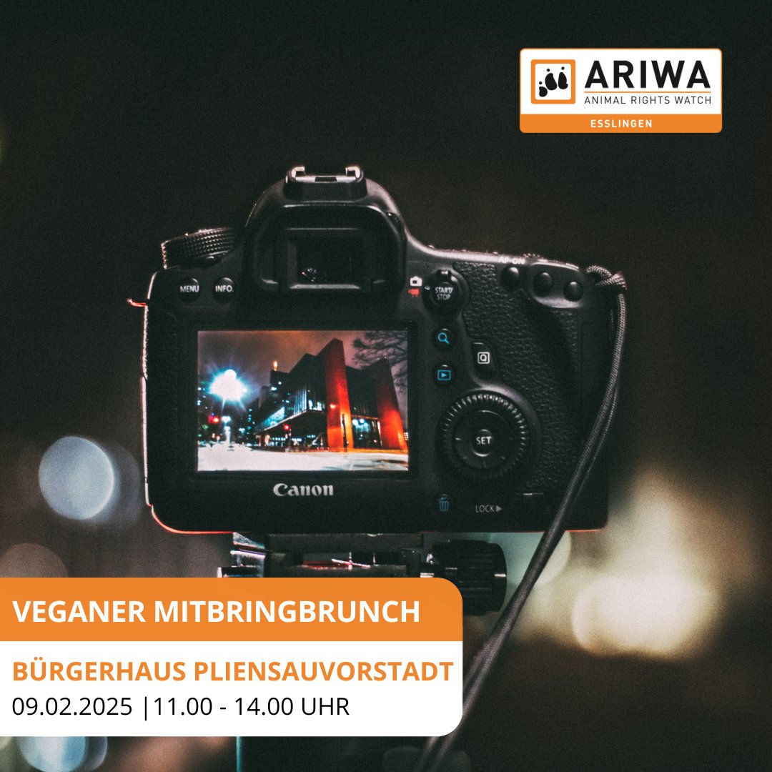 Animal Rights Watch e.V. - ARIWA