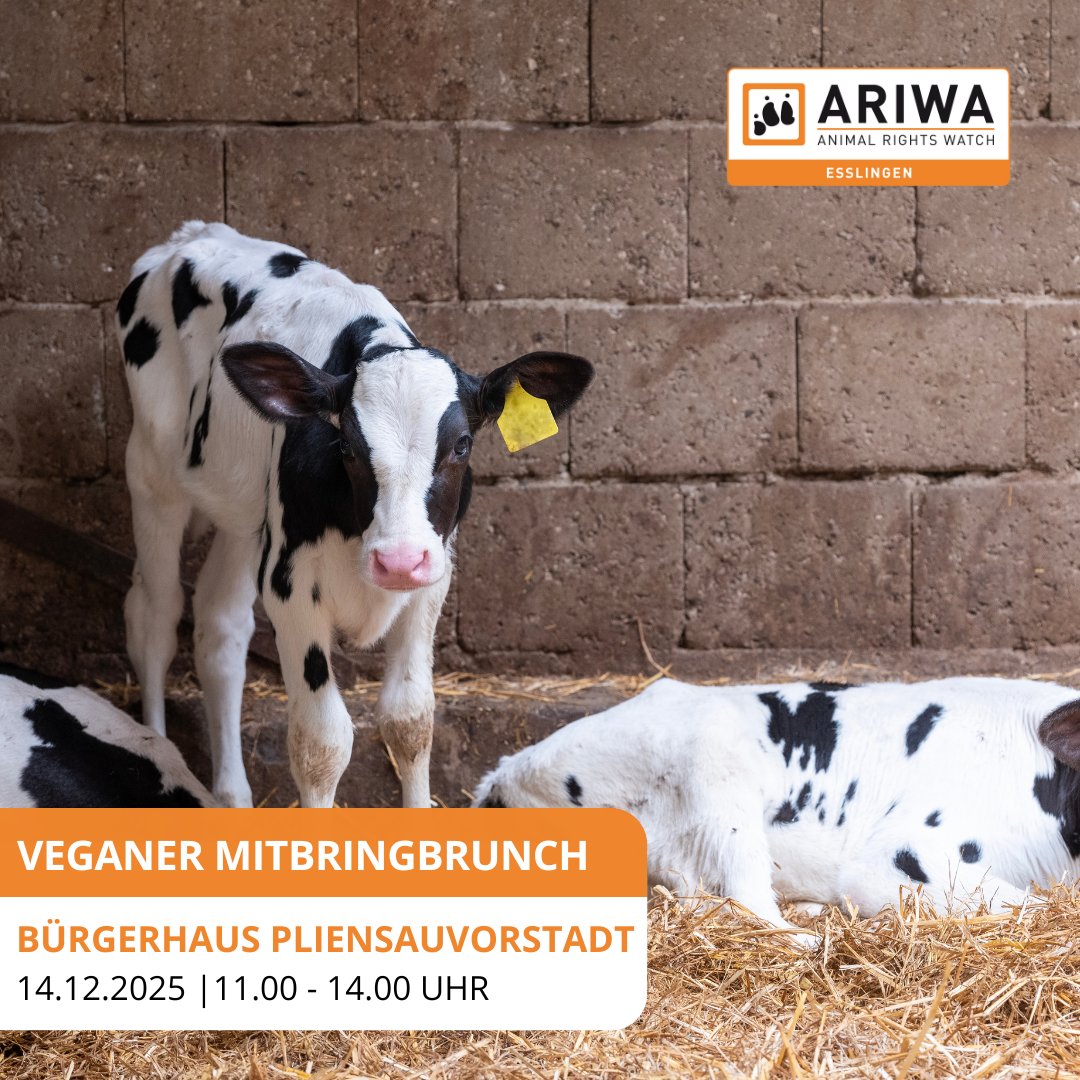 Animal Rights Watch e.V. - ARIWA
