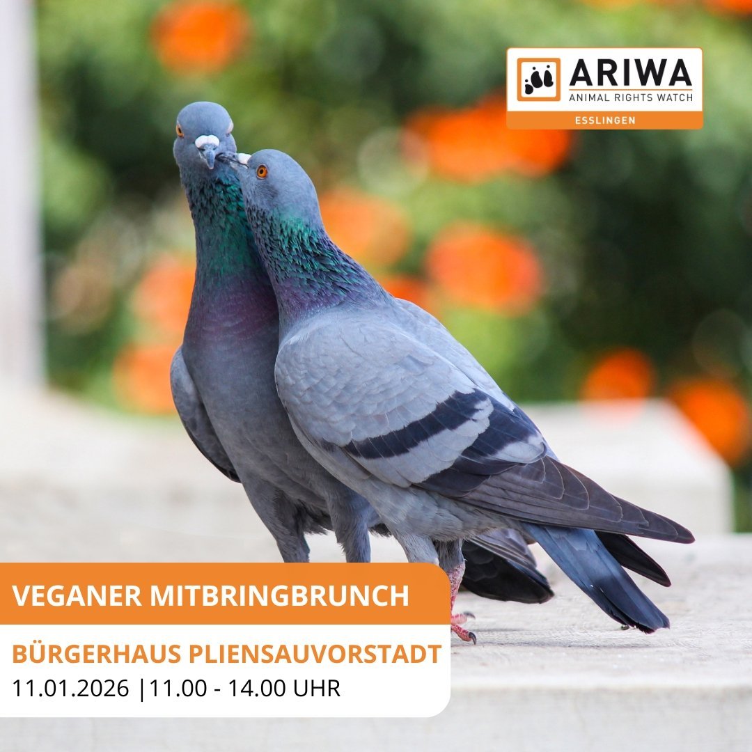 Animal Rights Watch e.V. - ARIWA