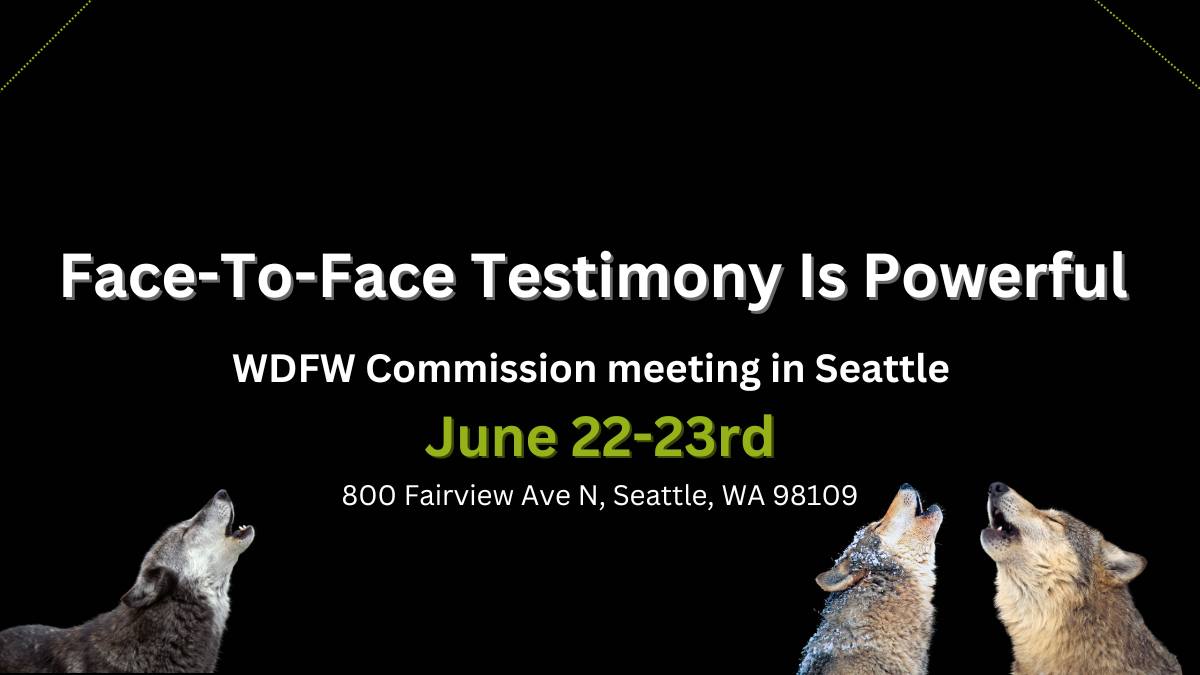Northwest Animal Rights Network - NARN