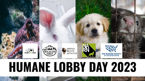 Northwest Animal Rights Network - NARN