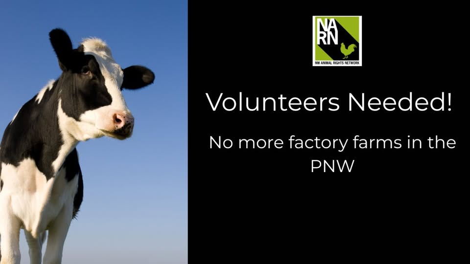 Northwest Animal Rights Network - NARN