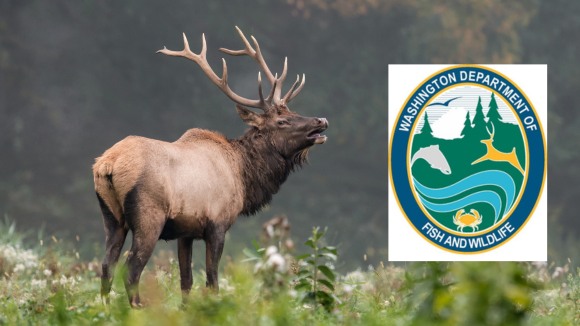 Northwest Animal Rights Network - NARN