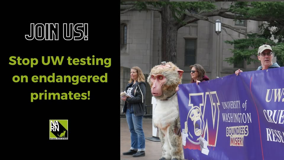 Northwest Animal Rights Network - NARN