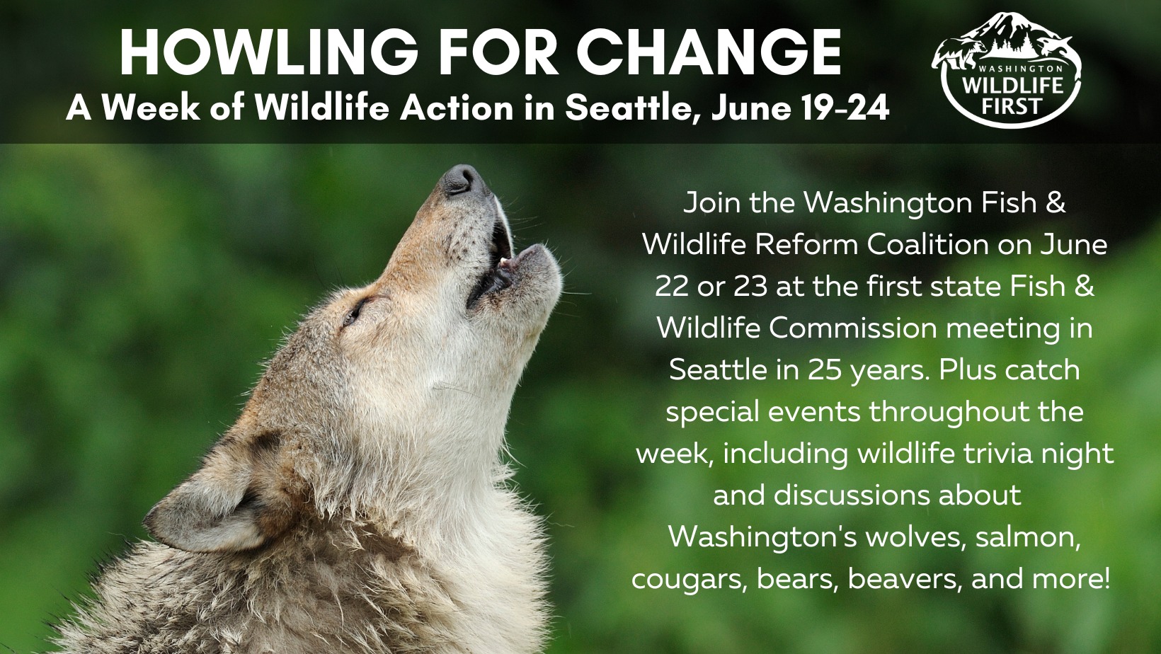 Northwest Animal Rights Network - NARN