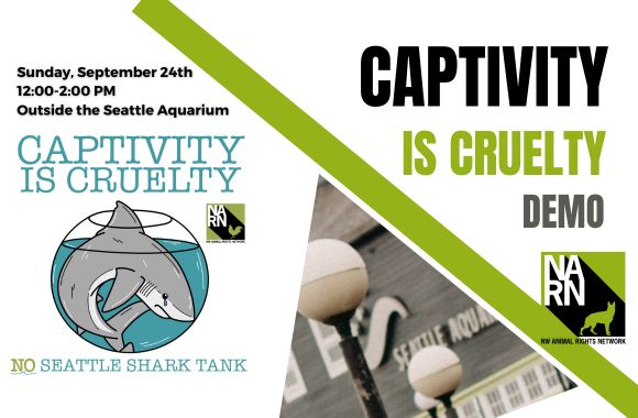 Northwest Animal Rights Network - NARN