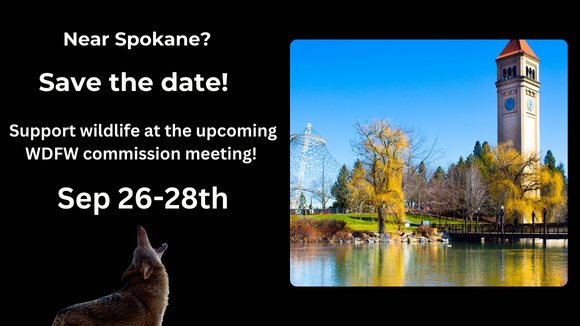 Northwest Animal Rights Network - NARN