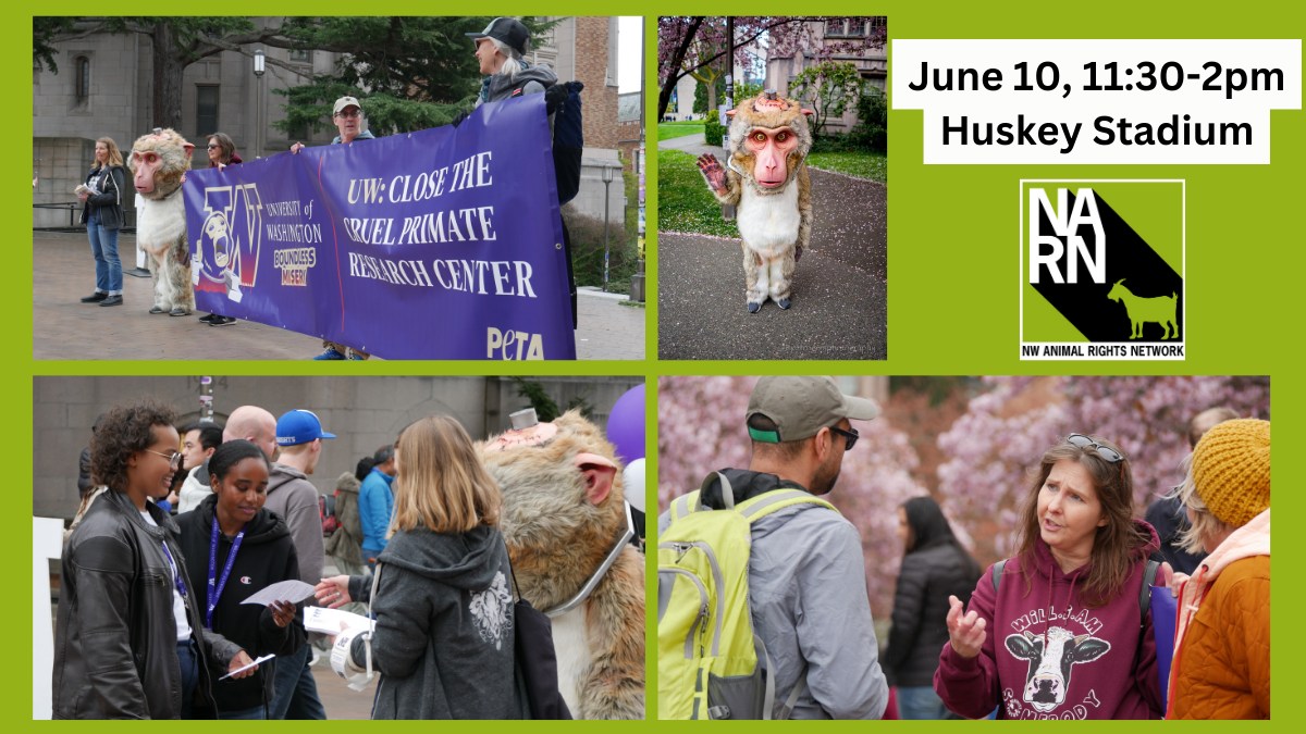 Northwest Animal Rights Network - NARN