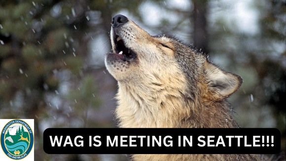 Northwest Animal Rights Network - NARN